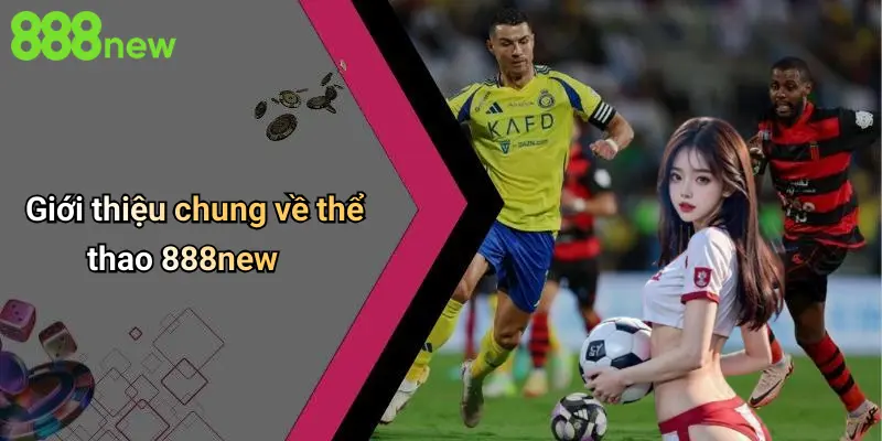 Giới thiệu chung về thể thao 888new